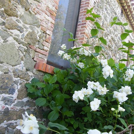 Agriturismo Il Giglio Oristano Eksteriør billede
